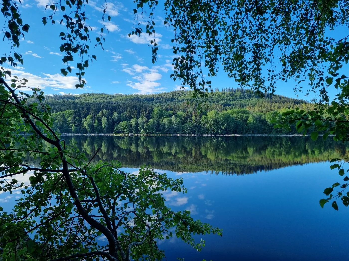Stille am See – Ruhe und Natur